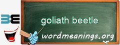 WordMeaning blackboard for goliath beetle